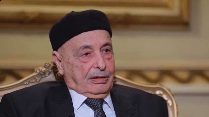 عقيلة صالح يبحث مع رئيسة الفيدرالية الروسية تعزيز التعاون البرلماني